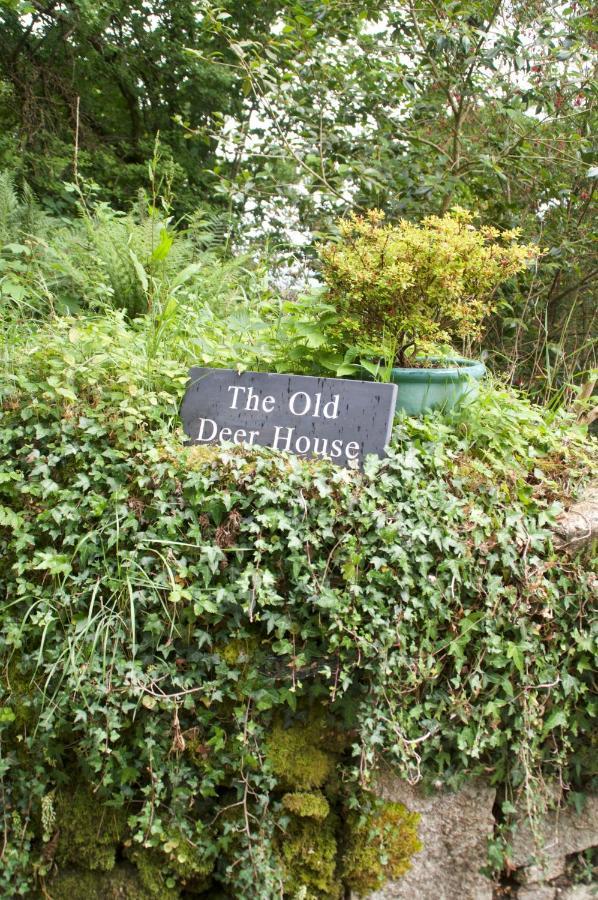 לינה וארוחת בוקר בודמין The Old Deer House מראה חיצוני תמונה